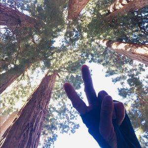 Meet your Posher, Esther